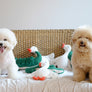 Flying Duck Nosework Toy