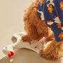 Flying Duck Nosework Toy