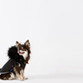 Black Winter Parka