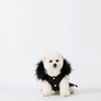 Black Winter Parka