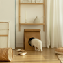 Hide & Seek cat bag made from 100% natural pulp with built-in scratcher and organic catnip – Petssogood