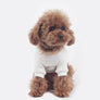 With dog Sweatshirts . For Dogs . White