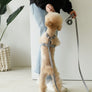 Macaron Harness . Gray