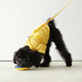 Macaron Harness . Yellow
