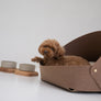 Marron felt pet bed with microfiber cotton cushion and sculptural modern-classic design – Petssogood