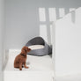 Marron felt pet bed with microfiber cotton cushion and sculptural modern-classic design – Petssogood