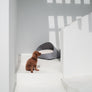 Marron felt pet bed with microfiber cotton cushion and sculptural modern-classic design – Petssogood