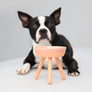 Oreo Elevated Pet Feeder Table . Pink . Tall
