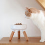 Oreo Elevated Pet Table Wood . Beech . Tall