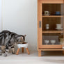 Oreo Elevated Pet Table Wood . Beech . Tall