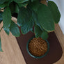 Silicon mat for pet protect the floor _ Pets So Good
