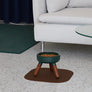 Premium modern elevated pet table for small dogs and cats_Pets So Good