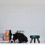 Premium modern elevated pet table for small dogs and cats_Pets So Good