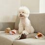 PAPER CUP NOSEWORK TOY