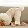 PAPER CUP NOSEWORK TOY