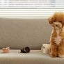 PAPER CUP NOSEWORK TOY