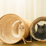 tyvek cat tunnel_petssogood