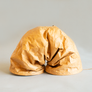 tyvek cat tunnel_petssogood