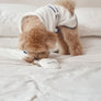 Slipper Toy