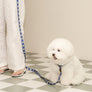 Smile Edition . Blue . Collar & Leash Set