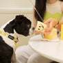 Smile Edition . Yellow . Collar & Leash Set