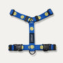 Smile Edition . Blue . Harness & Leash Set