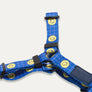 Smile Edition . Blue . Harness & Leash Set