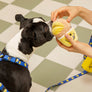 Smile Edition . Blue . Harness & Leash Set
