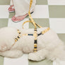Smile Edition . Yellow . Harness
