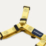 Smile Edition . Yellow . Harness & Leash Set