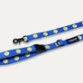 Smile Edition . Blue . Harness & Leash Set