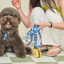 Smile Edition . Blue . Harness & Leash Set