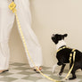 Smile Edition . Yellow . Leash