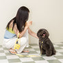 Smile Edition . Yellow . Collar & Leash Set