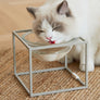 Moonlight Glass Table. Gray. Short