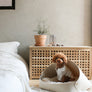 Marron felt pet bed with microfiber cotton cushion and sculptural modern-classic design – Petssogood