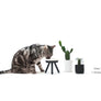 Oreo Elevated Pet Feeder Table . Black & White . Tall