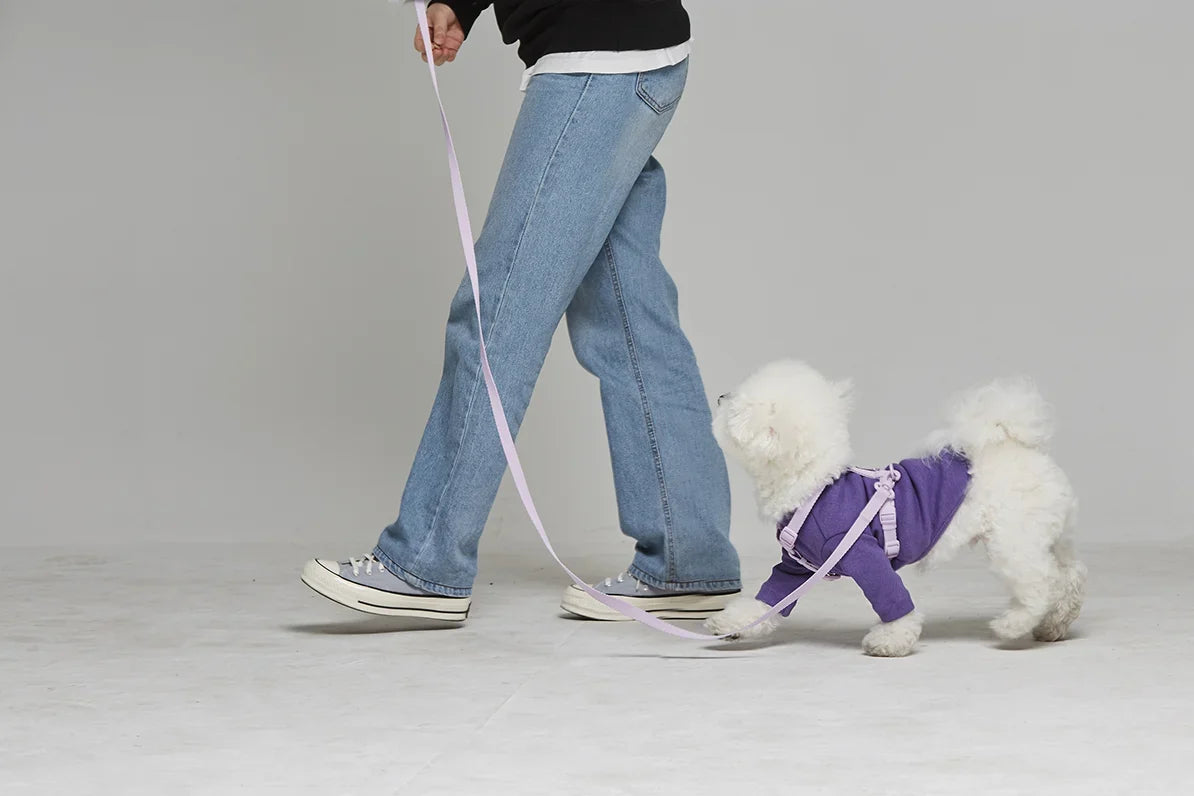 Fall Trail & Park Etiquette: 5 Essential Rules for Safe Autumn Walks with Your Dog