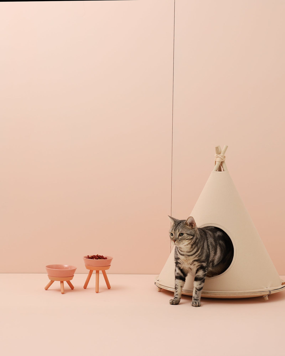 Modern Home & Pet Living: How to Style Minimalist Pet Houses for Chic Interiors