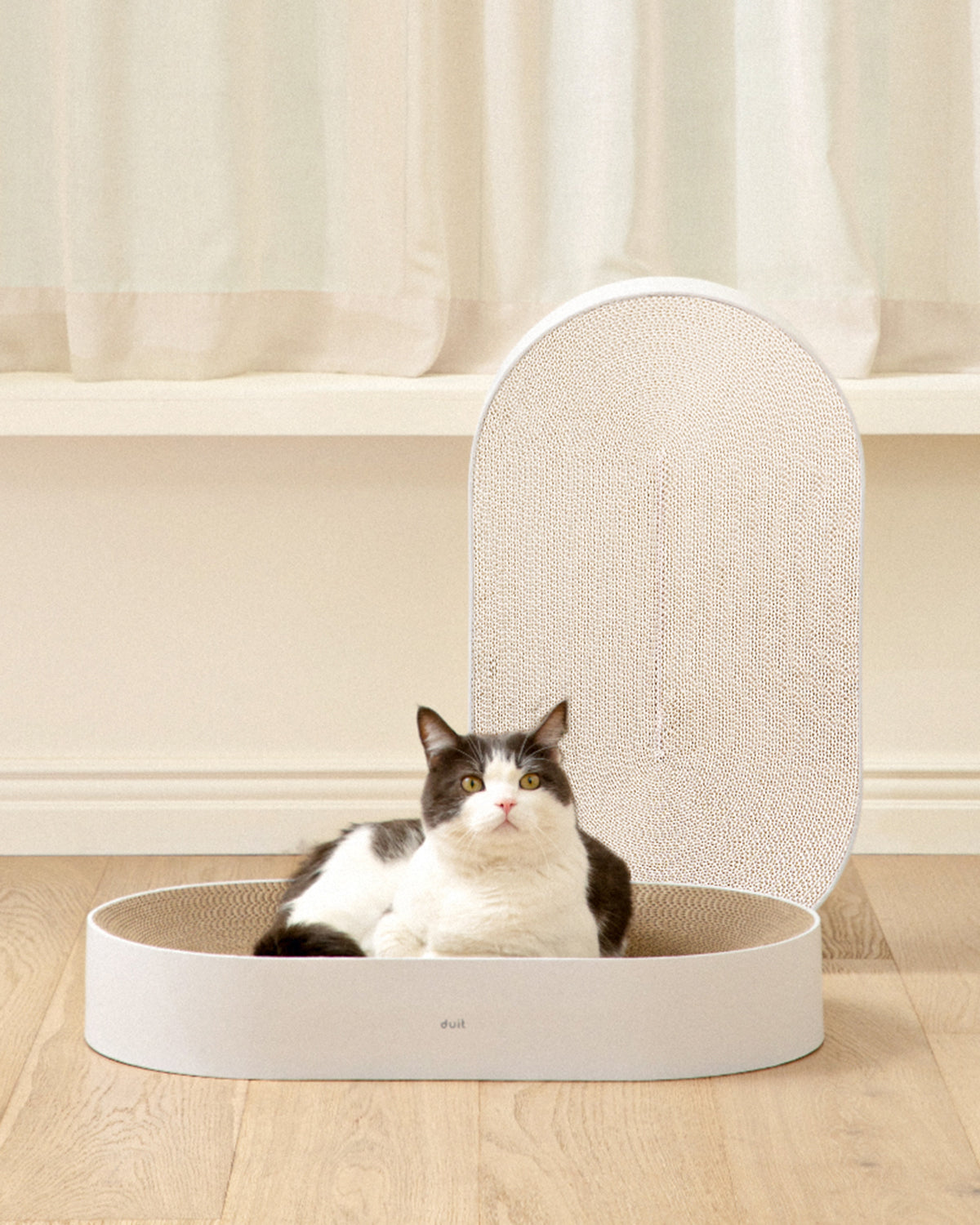 Pets So Good All Day Cat Scratcher . White with cat