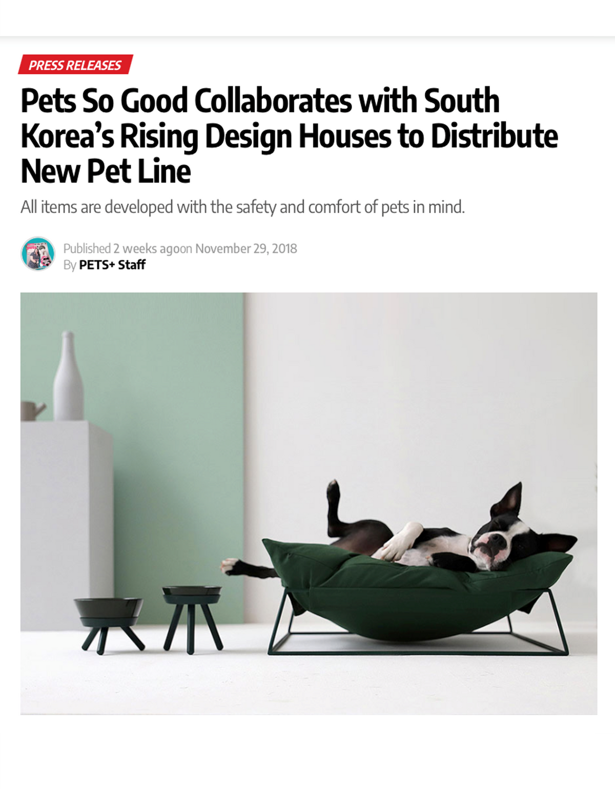 Pets So Good feature in PETS+ Magazine - K-Pet Decor Press Article