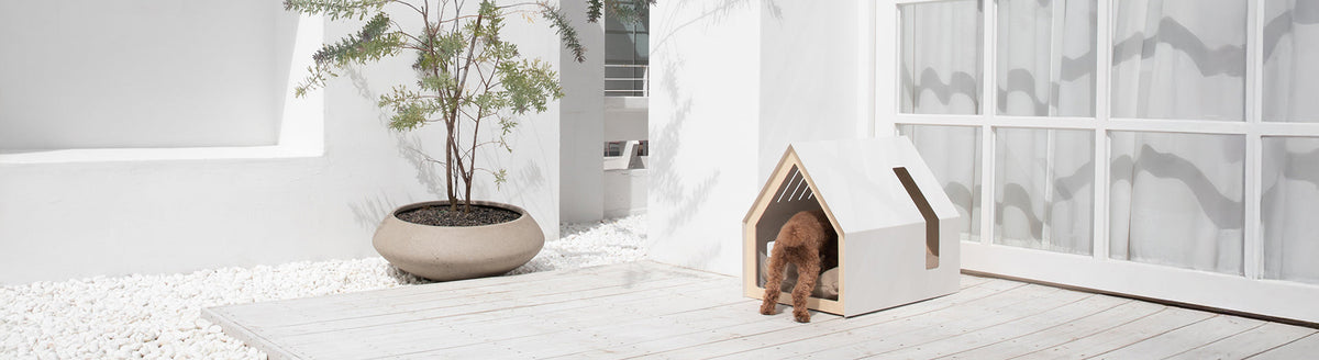 5 Essential Pet Products for a Cozier, Cleaner, and Happier Home
