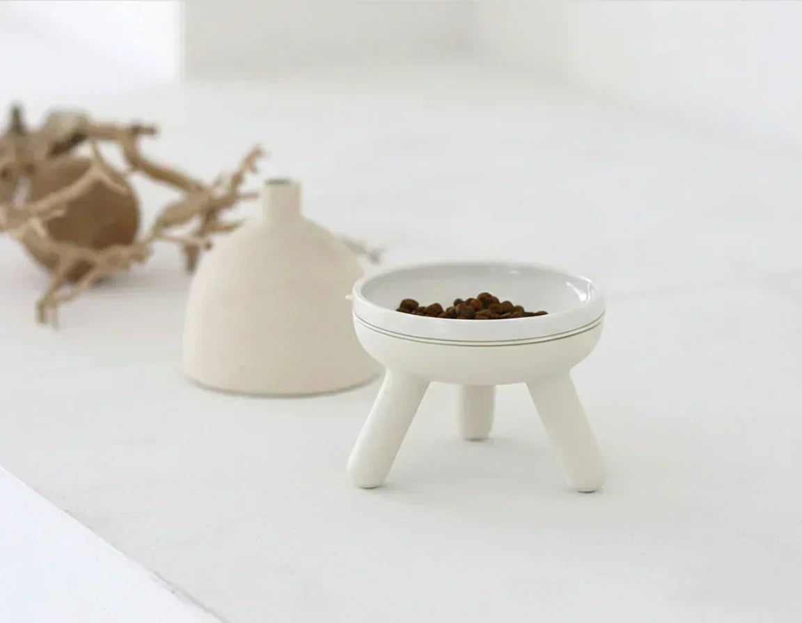 As Featured in The Oprah Magazine: Sleek, Thoughtful Designs for Modern Pet Parents