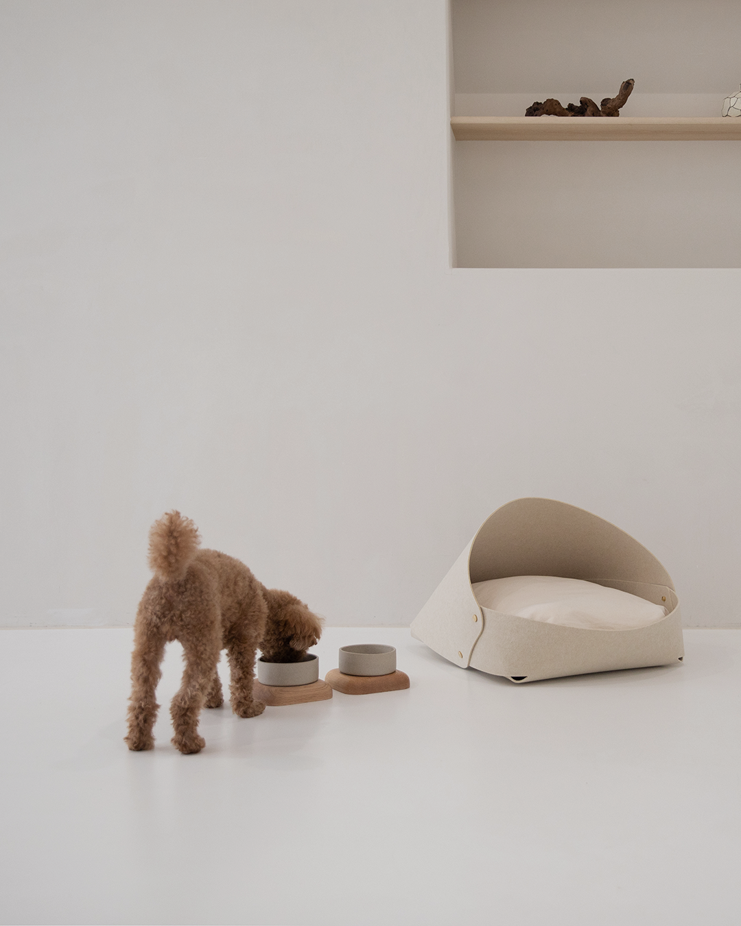 Puppy Starter Essentials Kit