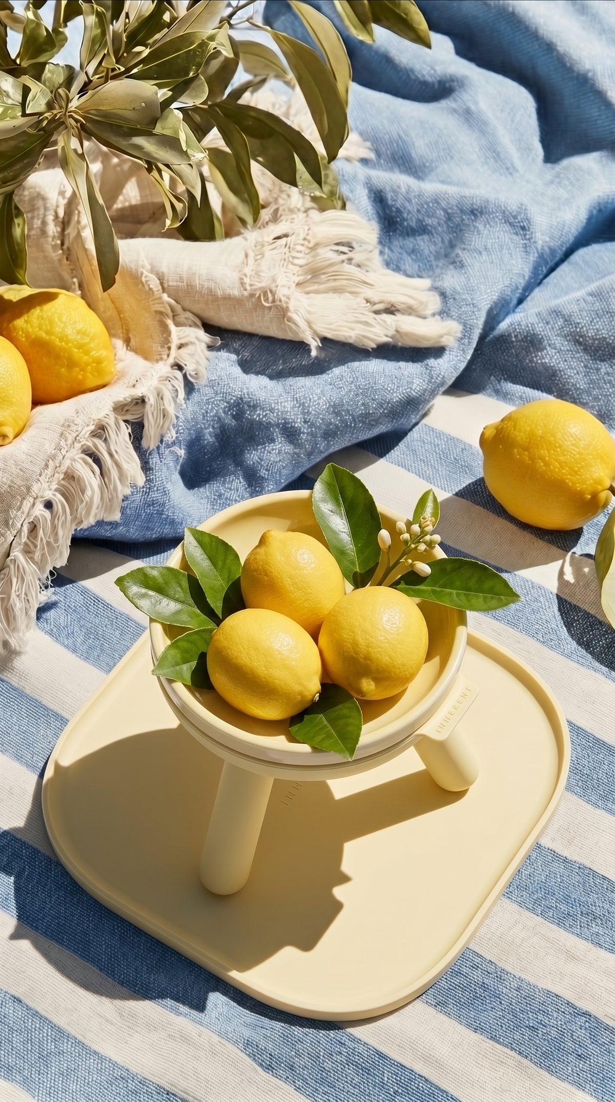 Easy Oreo Double Dining Set . Lemon — 2 Feeders + Mat