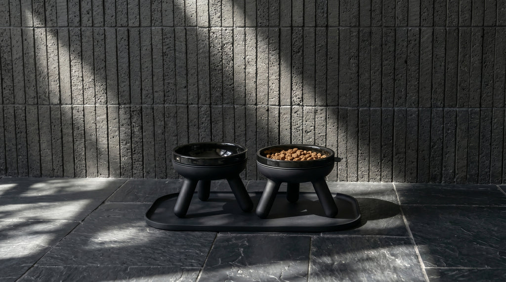 Pets So Good Easy Oreo elevated pet feeder table in Black