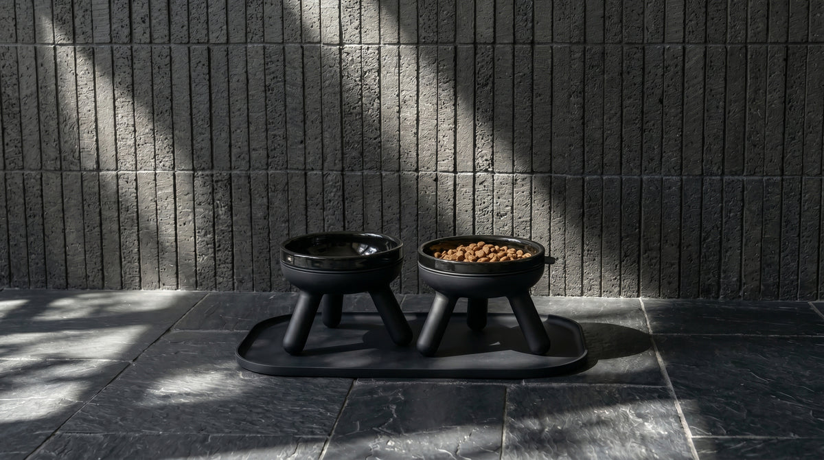 Pets So Good Easy Oreo elevated pet feeder table in Black