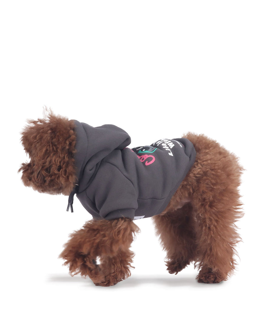 Life is Better with Dog hoodie . For Dogs . Charcoal