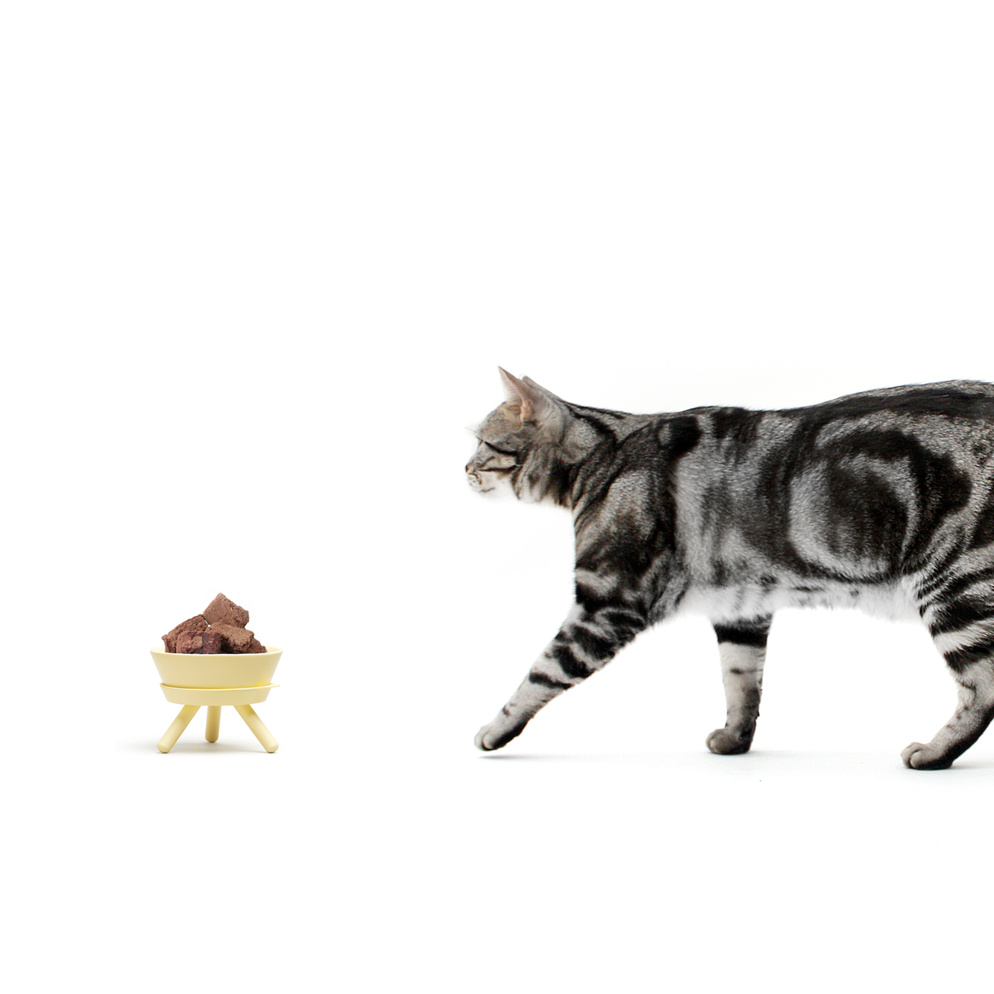 Premium modern stylish pet elevated feeder, made with durable porcelain and steel stand for small dogs and cat – Petssogood