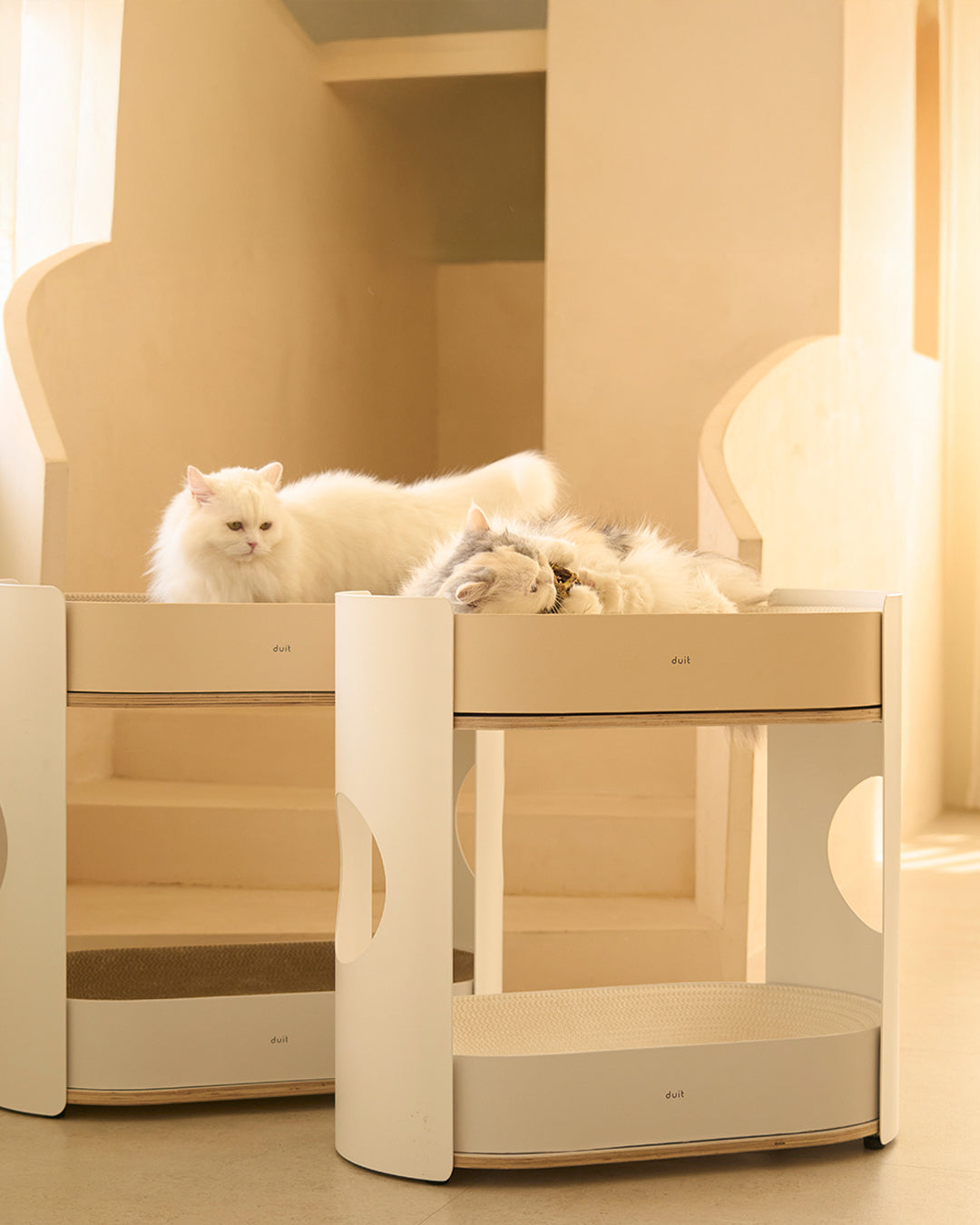 Cat Breeding Rack All Day Cat Rack – Pets So Good